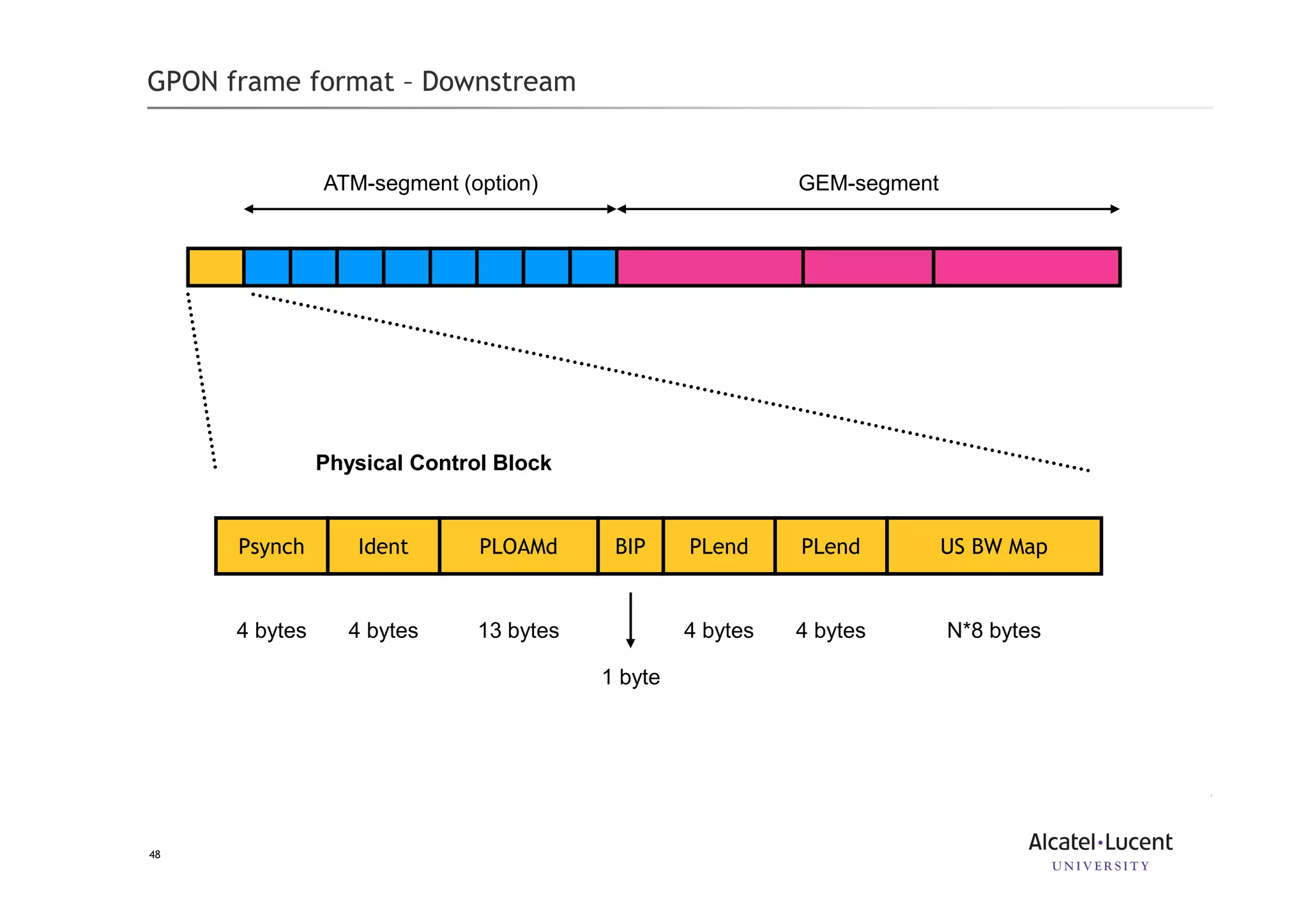 48
GPON frame format – Downstream
ATM-segment (option) GEM-segment
Psynch Ident PLOAMd BIP PLend PLend US BW Map
Physical Control Block
4 bytes 4 bytes 13 bytes 4 bytes 4 bytes N*8 bytes
1 byte
 