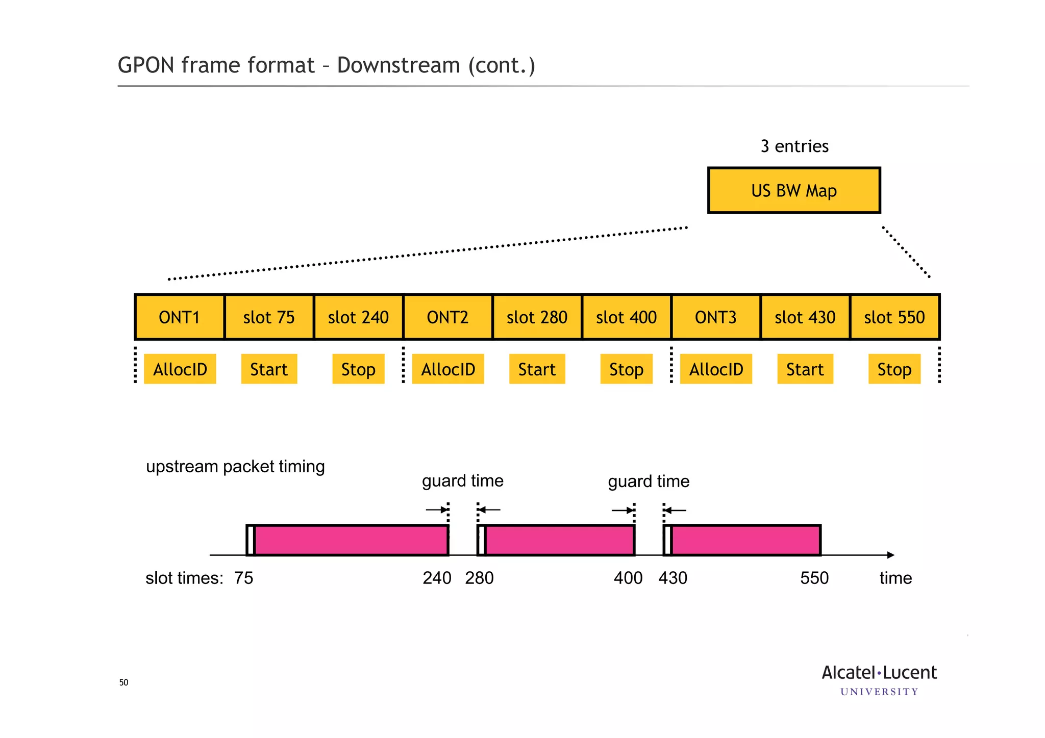 50
GPON frame format – Downstream (cont.)
US BW Map
3 entries
ONT1 slot 75 slot 240
AllocID Start Stop
ONT2 slot 280 slot 400
AllocID Start Stop
ONT3 slot 430 slot 550
AllocID Start Stop
upstream packet timing
guard timeguard time
75 240 280 400 430 550slot times: time
 