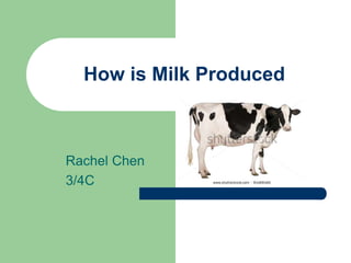How is Milk Produced
Rachel Chen
3/4C
 