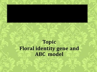 Topic
Floral identity gene and
ABC model
 