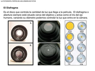 El Diafragma Es el disco que controla la cantidad de luz que llega a la película.  El diafragma o abertura siempre está situado cerca del objetivo y actúa como el iris del ojo humano, variando su diámetro podemos controlar la luz que entra en la cámara. LA FOTOGRAFÍA: PARTES DE UNA CÁMARA DE FOTOS 