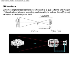El Plano Focal Definimos el plano focal como la superficie sobre la que se forma una imagen nítida del sujeto. Mientras se realiza una fotografía, la película fotográfica está extendida a través del plano focal. LA FOTOGRAFÍA: PARTES DE UNA CÁMARA DE FOTOS 