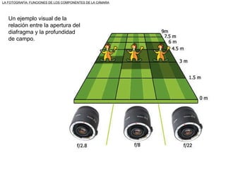 LA FOTOGRAFÍA: FUNCIONES DE LOS COMPONENTES DE LA CÁMARA f/2.8 f/5.6 f/11 Un ejemplo visual de la relación entre la apertura del diafragma y la profundidad de campo. 
