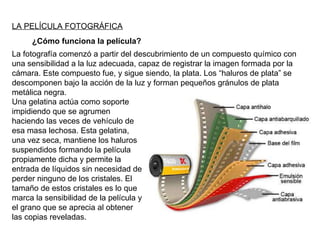 LA PELÍCULA FOTOGRÁFICA ¿Cómo funciona la película? La fotografía comenzó a partir del descubrimiento de un compuesto químico con una sensibilidad a la luz adecuada, capaz de registrar la imagen formada por la cámara. Este compuesto fue, y sigue siendo, la plata. Los “haluros de plata” se descomponen bajo la acción de la luz y forman pequeños gránulos de plata metálica negra. Una gelatina actúa como soporte impidiendo que se agrumen haciendo las veces de vehículo de esa masa lechosa. Esta gelatina, una vez seca, mantiene los haluros suspendidos formando la película propiamente dicha y permite la entrada de líquidos sin necesidad de perder ninguno de los cristales. El tamaño de estos cristales es lo que marca la sensibilidad de la película y el grano que se aprecia al obtener las copias reveladas. 