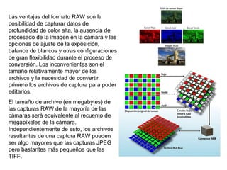 Las ventajas del formato RAW son la posibilidad de capturar datos de profundidad de color alta, la ausencia de procesado de la imagen en la cámara y las opciones de ajuste de la exposición, balance de blancos y otras configuraciones de gran flexibilidad durante el proceso de conversión. Los inconvenientes son el tamaño relativamente mayor de los archivos y la necesidad de convertir primero los archivos de captura para poder editarlos.  El tamaño de archivo (en megabytes) de las capturas RAW de la mayoría de las cámaras será equivalente al recuento de megapíxeles de la cámara. Independientemente de esto, los archivos resultantes de una captura RAW pueden ser algo mayores que las capturas JPEG pero bastantes más pequeños que las TIFF. 