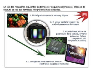 En los dos recuadros siguientes podemos ver esquemáticamente el proceso de captura de los dos formatos fotográficos más utilizados. 