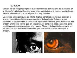 EL RUIDO El ruido de las imágenes digitales suele compararse con el grano de la película en la fotografía tradicional. Los dos fenómenos son similares, si bien su manifestación externa y las causas que los originan son muy distintas. La película utiliza partículas de nitrato de plata sensibles a la luz que capturan la imagen y constituyen la estructura granulada de la película. Esta estructura determina la capacidad de la película de registrar una escena, pero además da a la imagen una textura visible que, en ocasiones, se considera poco agradable, pero también puede imprimir carácter a la imagen. El grano de la película es mayor en las películas con índices ISO más altos y es más visible cuando se amplía la imagen. 