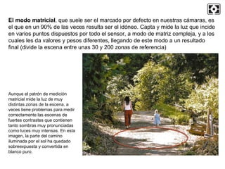 El modo matricial , que suele ser el marcado por defecto en nuestras cámaras, es el que en un 90% de las veces resulta ser el idóneo. Capta y mide la luz que incide en varios puntos dispuestos por todo el sensor, a modo de matriz compleja, y a los cuales les da valores y pesos diferentes, llegando de este modo a un resultado final (divide la escena entre unas 30 y 200 zonas de referencia) Aunque el patrón de medición matricial mide la luz de muy distintas zonas de la escena, a veces tiene problemas para medir correctamente las escenas de fuertes contrastes que contienen tanto sombras muy pronunciadas como luces muy intensas. En esta imagen, la parte del camino iluminada por el sol ha quedado sobreexpuesta y convertida en blanco puro. 