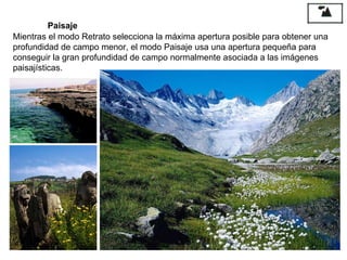 Mientras el modo Retrato selecciona la máxima apertura posible para obtener una profundidad de campo menor, el modo Paisaje usa una apertura pequeña para conseguir la gran profundidad de campo normalmente asociada a las imágenes paisajísticas. Paisaje 