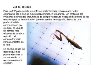 Uso del enfoque Para un fotógrafo purista, un enfoque perfectamente nítido es uno de los estándares por el que se mide cualquier imagen fotográfica. Sin embargo, las imágenes de increíble profundidad de campo y absoluta nitidez son sólo uno de los muchos tipos de interpretación que nos permite la fotografía. El uso de una profundidad de campo menor, por ejemplo, es una de las formas más eficaces de atraer la atención del espectador hacia zonas concretas de la foto. En cambio el uso del desenfoque nos puede transmitir la sensación de un recuerdo o de una emoción.  
