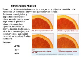 Cuando la cámara escribe los datos de la imagen en la tarjeta de memoria, debe hacerlo en un formato de archivo que pueda leerse después. FORMATOS DE ARCHIVO En las cámaras digitales, y dependiendo del tipo de cámara que tengamos (gama baja, media o gama alta) dispondremos de tres opciones de formato de archivo básicos. Cada uno de ellos tiene sus ventajas y sus inconvenientes, que pueden repercutir en la calidad final de la imagen. Tenemos: JPEG TIFF RAW 