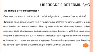 LIBERDADE E DETERMINISMO
Os animais pensam como nós?
Será que o homem é realmente tão mais inteligente do que as outras espécies?
Nenhum pesquisador duvida que o pensamento abstrato do Homo sapiens é um
feito inédito no mundo animal. Mas, quanto mais os cientistas sabem sobre
espécies como chimpanzés, gorilas, orangotangos, baleias e golfinhos, mais eles
chegam à conclusão de que a barreira intelectual que separa os homens desses
animais é bem menor do que se imaginava. Dois estudos pioneiros, nas décadas
de 1950 e 1960, foram fundamentais para diminuir essa distância.
 