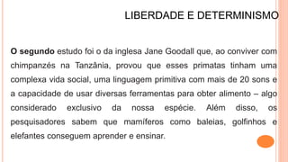 LIBERDADE E DETERMINISMO
O segundo estudo foi o da inglesa Jane Goodall que, ao conviver com
chimpanzés na Tanzânia, provou que esses primatas tinham uma
complexa vida social, uma linguagem primitiva com mais de 20 sons e
a capacidade de usar diversas ferramentas para obter alimento – algo
considerado exclusivo da nossa espécie. Além disso, os
pesquisadores sabem que mamíferos como baleias, golfinhos e
elefantes conseguem aprender e ensinar.
 
