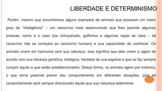 LIBERDADE E DETERMINISMO
Porém, mesmo que encontremos alguns exemplos de animais que possuem um maior
grau de “inteligência” – um raciocínio mais desenvolvido que lhes permite algumas
proezas, como é o caso dos chimpanzés, golfinhos e algumas raças de cães – tal
raciocínio não se compara ao raciocínio humano e sua capacidade de conhecer. Os
animais vivem em harmonia com sua natureza. Isso significa que eles vivem e agem de
acordo com sua herança genética, biológica, herdada de sua espécie e que os faz sempre
cumprir aquilo a que estão predeterminados. Dessa forma, os animais agem por instintos,
o que torna possível prever seu comportamento em diferentes situações, pois tal
comportamento será sempre direcionado àquilo que sua natureza determinar.
 