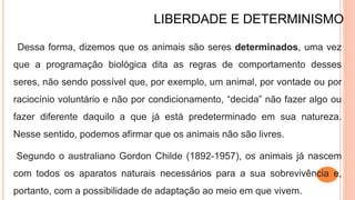 LIBERDADE E DETERMINISMO
Dessa forma, dizemos que os animais são seres determinados, uma vez
que a programação biológica dita as regras de comportamento desses
seres, não sendo possível que, por exemplo, um animal, por vontade ou por
raciocínio voluntário e não por condicionamento, “decida” não fazer algo ou
fazer diferente daquilo a que já está predeterminado em sua natureza.
Nesse sentido, podemos afirmar que os animais não são livres.
Segundo o australiano Gordon Childe (1892-1957), os animais já nascem
com todos os aparatos naturais necessários para a sua sobrevivência e,
portanto, com a possibilidade de adaptação ao meio em que vivem.
 