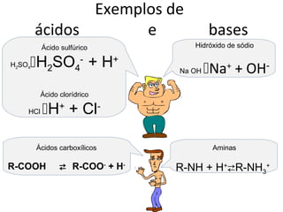 Exemplos de
        ácidos       e                    bases
          Ácido sulfúrico            Hidróxido de sódio

    H2SO4- + H+
H2SO4
                                  Na OH   Na+ + OH-
          Ácido clorídrico

    HCl   H+ + Cl-

        Ácidos carboxílicos                Aminas

R-COOH            R-COO- + H-   R-NH + H+R-NH3+
 