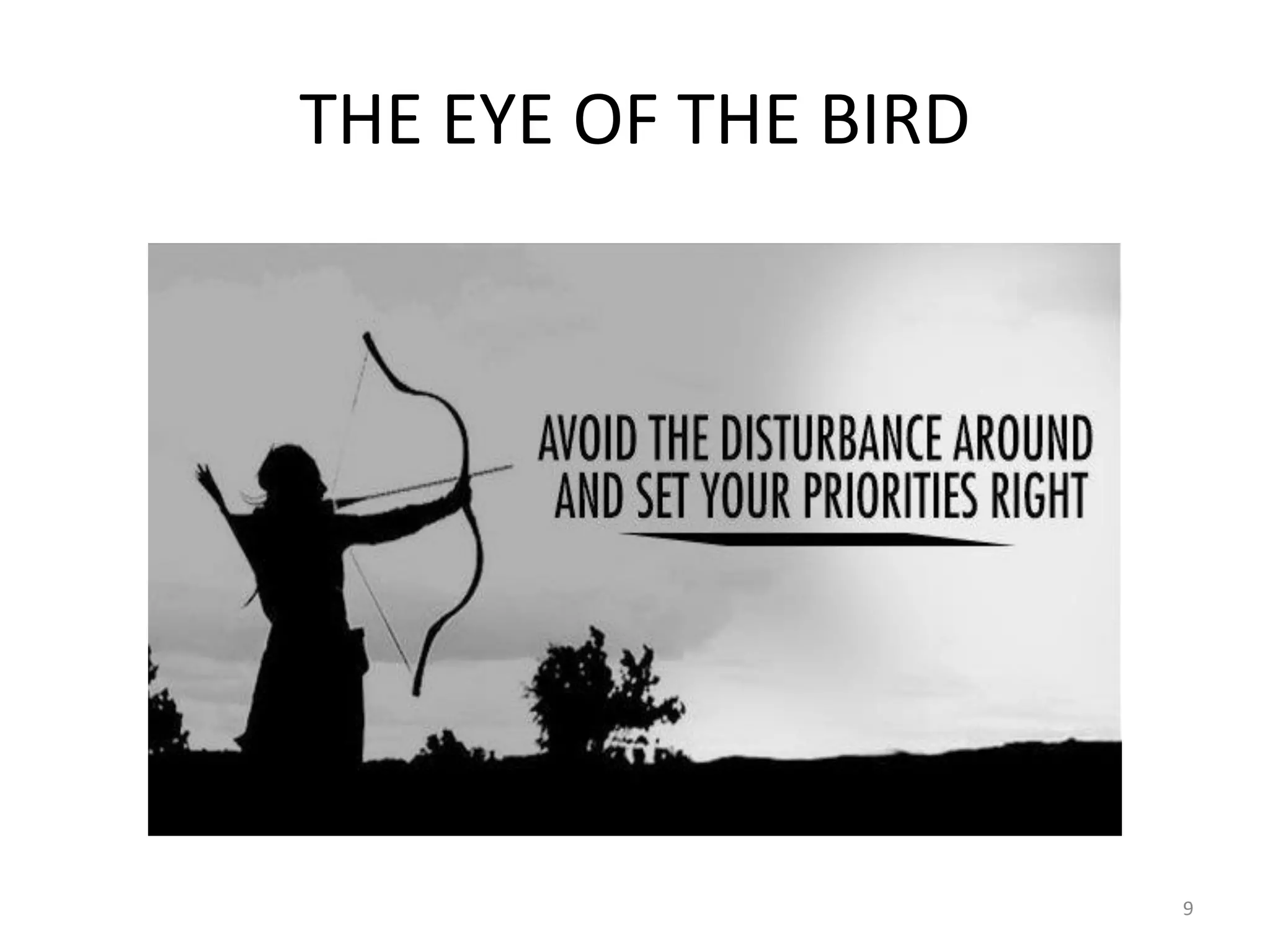 THE EYE OF THE BIRD
9
 