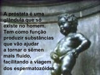 A próstata é uma
    glândula que só
    existe no homem.
    Tem como função
    produzir substâncias
    que vão ajudar
    a tornar o sêmen
    mais fluido,
    facilitando a viagem
    dos espermatozóides.
Copyright © RHVIDA S/C Ltda.   www.rhvida.com.br
 