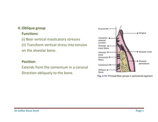 Dr.Jaffar Raza Syed
4. Oblique group
Functions:
(i) Bear vertical masticatory stress
(ii) Transform vertical stress into tension
on the alveolar bone.
Position:
Extends from the cementum in a coronal
Direction obliquely to the bone.
(i) Bear vertical masticatory stresses
(ii) Transform vertical stress into tension
cementum in a coronal
to the bone.
Page 4
 
