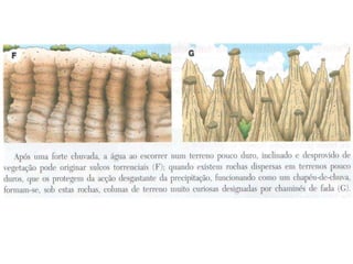 Agentes modeladores da paisagem
