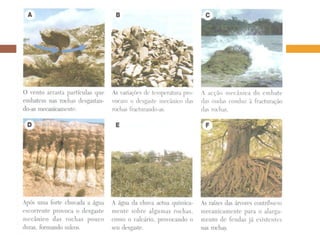 Agentes modeladores da paisagem