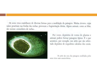 Agentes modeladores da paisagem