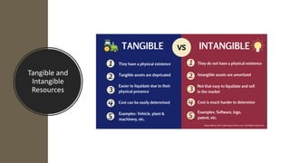 Intangible Resources Activity 04 - Internal Economy | PDF