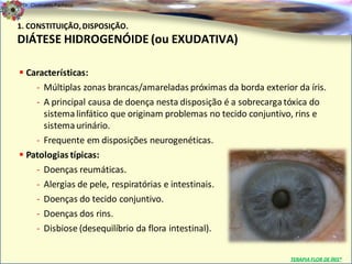Dr. Clodoaldo Pacheco

                                                                                           .
1. CONSTITUIÇÃO, DISPOSIÇÃO.
DIÁTESE HIDROGENÓIDE (ou EXUDATIVA)

 Características:
    - Múltiplas zonas brancas/amareladas próximas da borda exterior da íris.
    - A principal causa de doença nesta disposição é a sobrecarga tóxica do
      sistema linfático que originam problemas no tecido conjuntivo, rins e
      sistema urinário.
    - Frequente em disposições neurogenéticas.
 Patologias típicas:
    - Doenças reumáticas.
    - Alergias de pele, respiratórias e intestinais.
    - Doenças do tecido conjuntivo.
    - Doenças dos rins.
    - Disbiose (desequilíbrio da flora intestinal).


                                                                   TERAPIA FLOR DE ÍRIS®
 