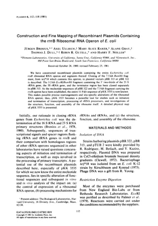 PLASMID 6, 112-118 (1981)
Construction and Fine Mapping of Recombinant Plasmids Containing
the rrnB Ribosomal RNA Operon of E. co/i
JCJRGEN BROSIUS,*~~ AXEL ULLRICH,~‘ MARY ALICE RAKER,* ALANE GRAY,?
THOMAS J. DULL,*3 ROBIN R. GUTELL,* AND HARRY F. NOLLER*
*Thimann Laboratories, University of Californiu. Sunta Cruz, CaliJornia 95064, and Wenentech. Inc. I
460 Point San Bruno Boulevard, South San Fruncisco, Culijornia 94080
Received October 28, 1980: revised February 25, 1981
We have constructed recombinant plasmids containing the entire Escherichiu co/i
rrnB ribosomal RNA operon and segments thereof. Cloning of the 7.5kb BamHI frag-
ment, from Artin which contains this operon, in plasmid vectors pBR 313 or pBR 322
is described. The 3.2-kb EcoRIIBamHI fragment containing the 3’ two-thirds of the 23 S
rRNA gene, the SS rRNA gene, and the terminator region has been cloned separately
in pBR 313. As the nucleotide sequences of pBR 322 and the 7.5kb fragment carrying the
rrnB operon have been established, the entire 11.9-kb sequence of pKK 3535 is now known.
This makes possible precise rearrangements and site-specific alterations of the ribosomal
RNA operon; thus, pKK 3535 becomes a powerful tool for studies such as initiation
and termination of transcription, processing of rRNA precursors, and investigations of
the structure, function, and assembly of the ribosome itself. A detailed physical map
of pKK 3535 is presented.
Initially, our rationale in cloning rRNA
genes from Escherichia coli was the de-
termination of the 16 S RNA and 23 S RNA
primary structures (Brosius et al., 1978,
1980). Subsequently, sequences of tran-
scriptional signals and spacer regions flank-
ing rRNA and tRNA genes in rrnB and
their comparison with homologous regions
of other rRNA operons sequenced in other
laboratories have raised questions concern-
ing aspects of initiation and termination of
transcription, as well as steps involved in
the processing of primary transcripts. A po-
tential use of the recombinant plasmids
described here, especially of pKK 3535
for which we now know the entire nucleotide
sequence, lies in specific alteration of func-
tional sequences and subsequent in vitro
and in viva analysis of the impact on: (a)
the control of expression of a ribosomal
RNA operon, (b) processing mechanisms for
1 Present address: The Biological Laboratories, Har-
vard University, 16 Divinity Ave., Cambridge, Mass.
02138.
rRNAs and tRNAs, and (c) the structure,
function, and assembly of the ribosome.
MATERIALS AND METHODS
Isolation of DNA
Strains harboring plasmids pBR 322, pBR
313, and pTUB 2 were kindly provided by
R. Rodriguez, M. Betlach, and Y. Kaziro,
respectively. Plasmid DNA was prepared
in CsCl-ethidium bromide buoyant density
gradients (Clewell, 1972). Bacteriophage
hrifd18 was isolated from an E. cofi K-12
strain by Kirschbaum and Konrad (1973).
Phage DNA was a gift from R. Young.
Restriction Enzyme Digestion
Most of the enzymes were purchased
from New England Bio-Labs or from
Bethesda Research Laboratories. EcoRI
was purified as described by Palmer et al.
(1979). Reactions were carried out under
the conditions recommended by the suppliers.
0147-619X/81/040112-07$02.00/0
Copyright 0 1981 by Academic Press, Inc.
AU rights of reproduction in soy form reserved.
112
 