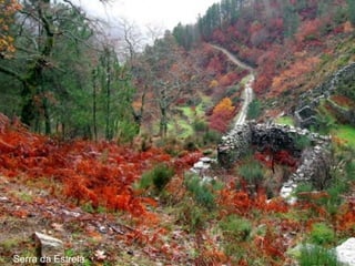Serra da Estrela
 