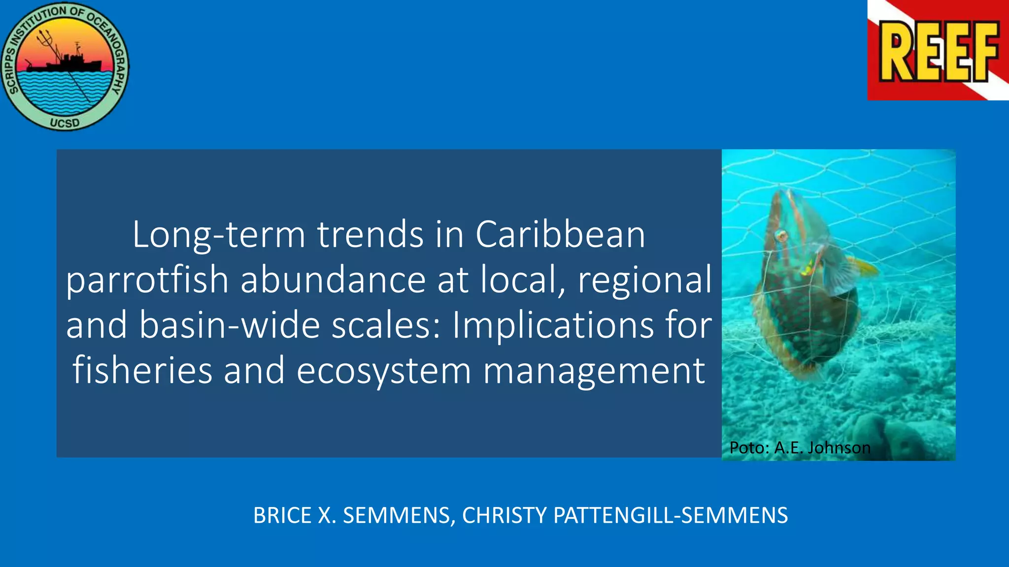 Long-term trends in Caribbean parrotfish abundance at local, regional ...