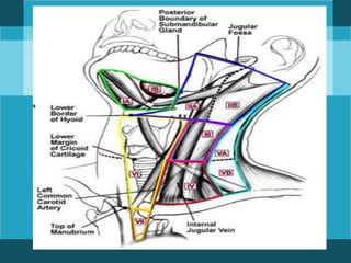 Radical Neck Dissection is
the standard basic procedure
for cervical lymphadenetomy
and all other procedures
represent one...