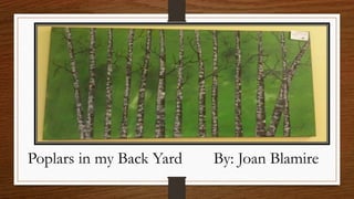 Poplars in my Back Yard By: Joan Blamire
 
