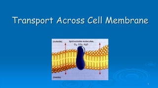 Transport Across Cell Membrane
1
 
