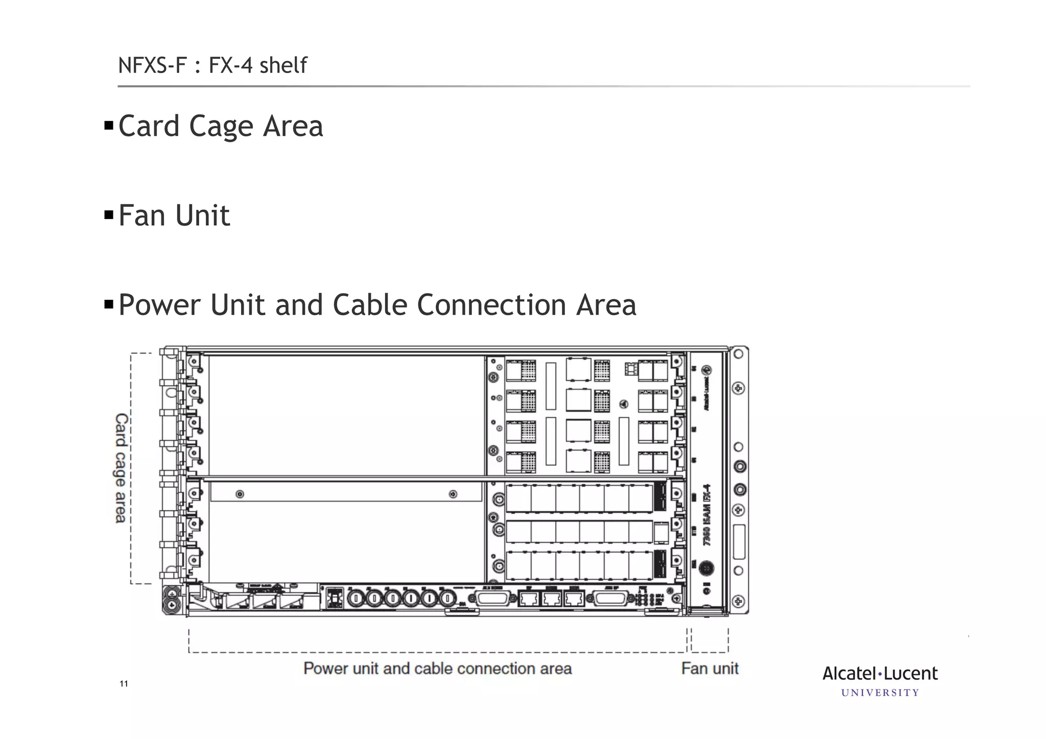 Slide 11