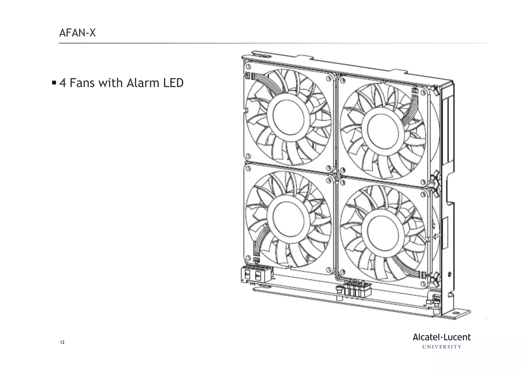 Slide 12
