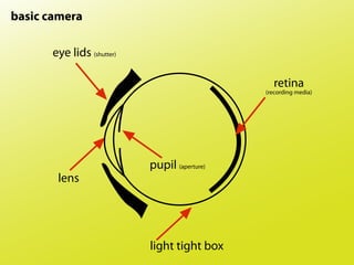 004 basic camera info | PDF