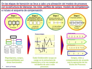 004 gestion por procesos   bpm -109
