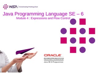 Java Programming Language SE – 6
Module 4 : Expressions and Flow Control
 