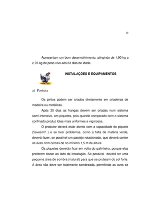 10
Apresentam um bom desenvolvimento, atingindo de 1,90 kg a
2,76 kg de peso vivo aos 63 dias de idade.
INSTALAÇÕES E EQUIPAMENTOS
a) Postura
Os pintos podem ser criados diretamente em criadeiras de
madeira ou metálicas.
Após 30 dias as frangas devem ser criadas num sistema
semi-intensivo, em piquetes, pois quando comparado com o sistema
confinado produz lotes mais uniformes e vigorosos.
O produtor deverá estar atento com a capacidade do piquete
(5aves/m² ) e se tiver problemas, como a falta de matéria verde,
deverá fazer, se possível um pastejo rotacionado, que deverá conter
as aves com cercas de no mínimo 1,5 m de altura.
Os piquetes deverão ficar em volta do galinheiro, porque elas
preferem ciscar ao lado da instalação. Se possível deverá ter uma
pequena área de sombra (natural) para que se protejam do sol forte.
A área não deve ser totalmente sombreada, permitindo as aves se
 
