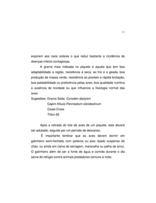 11
exporem aos raios solares o que reduz bastante a incidência de
doenças infecto contagiosas.
A grama mais indicada no piquete é aquela que tem boa
adaptabilidade à região, resistência à seca, ao frio e a geada, boa
produção de massa verde, resistência ao pisoteio e rápida brotação,
boa palatabilidade ou preferência pelas aves, boa qualidade nutritiva
e ausência de toxidade ou que influencie a fisiologia normal das
aves.
Sugestões: Grama Seda: Cynodon dactylon
Capim Kikuio:Pennisetum clandestinum
Coast-Cross
Tifton 65
Após a retirada do lote de aves de um piquete, este deverá
ser adubado, seguido por um período de descanso.
É importante lembrar que as aves devem dormir em
galinheiro semi-fechado com poleiros ou piso ripado suspenso do
chão, ou ainda em cama de serragem, maravalha ou palha de arroz.
O galinheiro além de ser a fonte de água e comida durante o dia
serve de refúgio contra animais predadores comuns à noite.
 