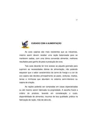 17
CUIDADO COM A ALIMENTAÇÃO
As aves caipiras são mais resistentes que as industriais,
mesmo assim devem receber uma ração balanceada para se
manterem sadias, com uma ótima conversão alimentar, melhores
resultados para ganho de peso e produção de ovos.
Tais aves deverão ter livre acesso ao piquete gramado para
suprirem as necessidades diárias de alimentação, não podendo
esquecer que o sabor característico da carne do frango e a cor do
ovo caipira são devidos principalmente ao pasto, verduras, insetos,
larvas e minhocas que abundam no sistema semi-intensivo ou
caipira de criação.
As rações poderão ser compradas em casas especializadas
ou até mesmo serem fabricada na propriedade. A escolha ficará a
critério do produtor, levando em consideração o custo,
disponibilidade de alimentos, insumos de boa qualidade, prática na
fabricação de ração, mão-de-obra etc.
 