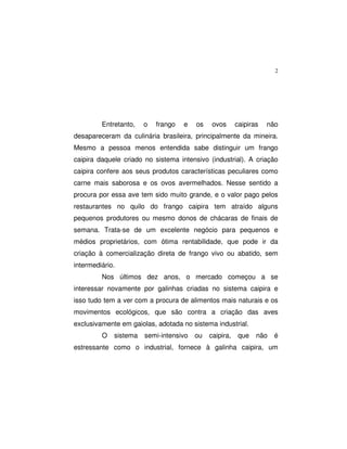 2
Entretanto, o frango e os ovos caipiras não
desapareceram da culinária brasileira, principalmente da mineira.
Mesmo a pessoa menos entendida sabe distinguir um frango
caipira daquele criado no sistema intensivo (industrial). A criação
caipira confere aos seus produtos características peculiares como
carne mais saborosa e os ovos avermelhados. Nesse sentido a
procura por essa ave tem sido muito grande, e o valor pago pelos
restaurantes no quilo do frango caipira tem atraído alguns
pequenos produtores ou mesmo donos de chácaras de finais de
semana. Trata-se de um excelente negócio para pequenos e
médios proprietários, com ótima rentabilidade, que pode ir da
criação à comercialização direta de frango vivo ou abatido, sem
intermediário.
Nos últimos dez anos, o mercado começou a se
interessar novamente por galinhas criadas no sistema caipira e
isso tudo tem a ver com a procura de alimentos mais naturais e os
movimentos ecológicos, que são contra a criação das aves
exclusivamente em gaiolas, adotada no sistema industrial.
O sistema semi-intensivo ou caipira, que não é
estressante como o industrial, fornece à galinha caipira, um
 