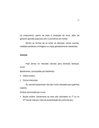 22
no crescimento, ganho de peso e produção de ovos, além de
gerarem grandes prejuízos com a ocorrência de mortes.
Dentre as formas de se evitar as doenças, temos vacinas,
medidas sanitárias e linhagens ou raças geneticamente resistentes.
Vacinas
Hoje temos no mercado vacinas para diversas doenças,
como:
Bacterianas ( provocadas por bactérias):
• Cólera aviária
• Coriza infecciosa
As vacinas bacterianas não são muito utilizadas para galinhas
caipiras.
Virótica (provocada por vírus):
• Bouba aviária: Geralmente as aves são vacinadas no 10
ou no
210
dia de vida por meio de escarificação da cocha da ave.
 