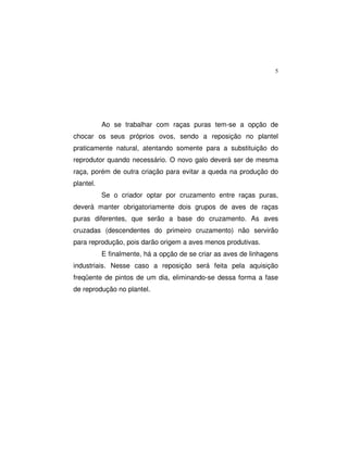 5
Ao se trabalhar com raças puras tem-se a opção de
chocar os seus próprios ovos, sendo a reposição no plantel
praticamente natural, atentando somente para a substituição do
reprodutor quando necessário. O novo galo deverá ser de mesma
raça, porém de outra criação para evitar a queda na produção do
plantel.
Se o criador optar por cruzamento entre raças puras,
deverá manter obrigatoriamente dois grupos de aves de raças
puras diferentes, que serão a base do cruzamento. As aves
cruzadas (descendentes do primeiro cruzamento) não servirão
para reprodução, pois darão origem a aves menos produtivas.
E finalmente, há a opção de se criar as aves de linhagens
industriais. Nesse caso a reposição será feita pela aquisição
freqüente de pintos de um dia, eliminando-se dessa forma a fase
de reprodução no plantel.
 