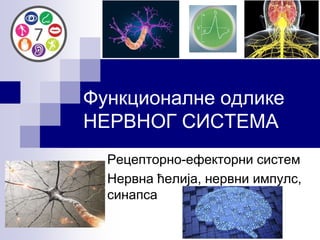 Функционалне одлике
НЕРВНOГ СИСТЕМА
Рецепторно-ефекторни систем
Нервна ћелија, нервни импулс,
синапса
 