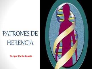 PATRONESDE
HERENCIA
Dr. Igor Pardo Zapata
 