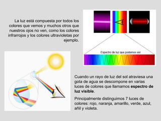 La luz está compuesta por todos los colores que vemos y muchos otros que nuestros ojos no ven, como los colores infrarrojos y los colores ultravioletas por ejemplo. Cuando un rayo de luz del sol atraviesa una gota de agua se descompone en varias luces de colores que llamamos  espectro de luz visible . Principalmente distinguimos 7 luces de colores: rojo, naranja, amarillo, verde, azul, añil y violeta. 