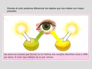 Gracias al color podemos diferenciar los objetos que nos rodean con mayor precisión. 