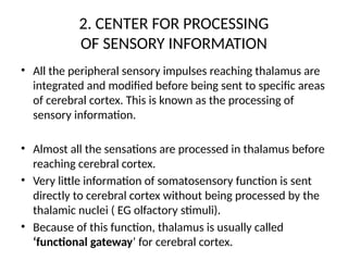 004 THE THALAMUS PowerPoint presentation | PPTX
